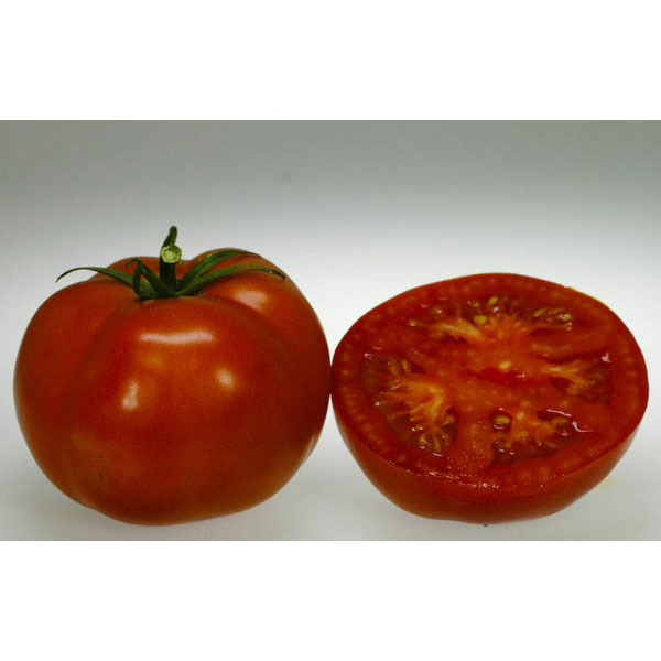 Organic Non-GMO Druzba Tomato