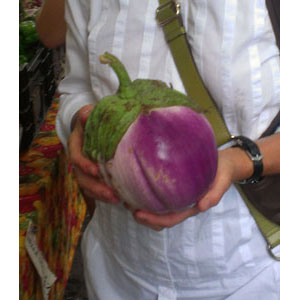 Organic Non-GMO Rosa Bianca Eggplant