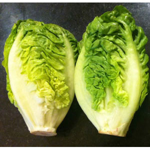 Organic Non-GMO Little Gem Lettuce - Click Image to Close