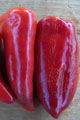 Organic Non-GMO Lipstick Sweet Red Pepper