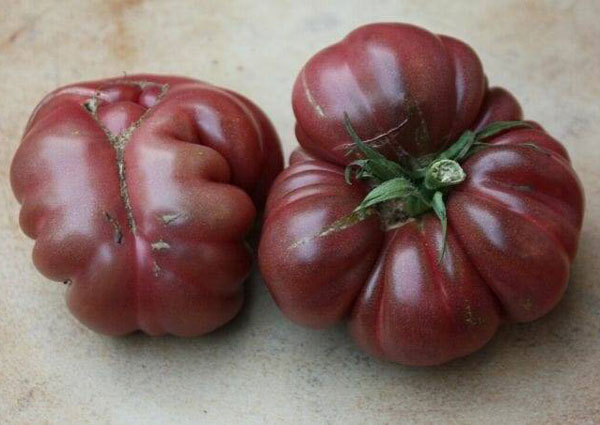 Organic non-GMO Purple Calabash Tomato